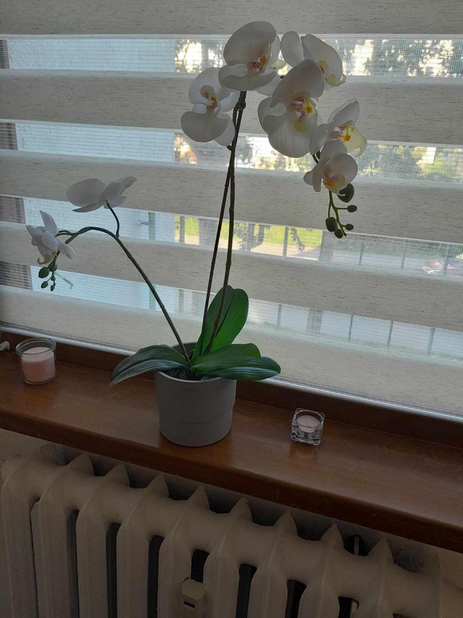 Apartament Ciotka Klotka Koszalin Zewnętrze zdjęcie